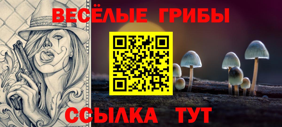 Псилоцибиновые грибы мухоморы  Вход с VPN  Долгопрудный  Псилоцибиновые грибы Psilocybe 
